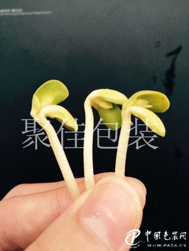 豆芽氣調(diào)保鮮包裝配氣機(jī)供應(yīng)