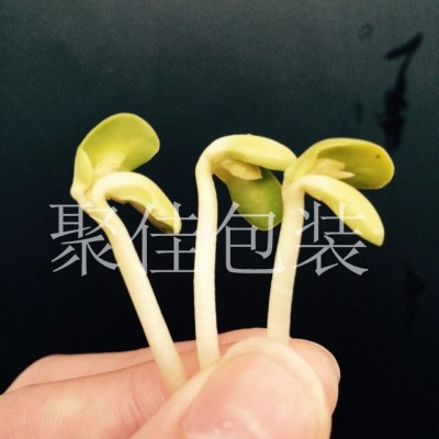 豆芽氣調(diào)保鮮包裝配氣機(jī)供應(yīng)
