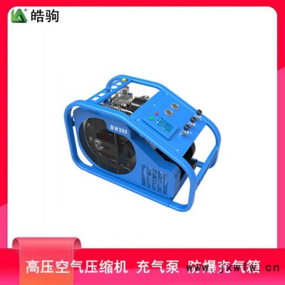 MCH6/EM STANDARD空氣壓縮機(jī)呼吸器充氣泵 空氣填充泵
