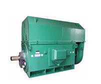 壓縮機(jī)專用電機(jī)YKS系列YKS5003-2 1400KW 6KV三相異步電動機(jī)