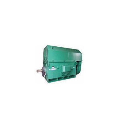 壓縮機(jī)專用電機(jī)YKS系列YKS5003-2 1400KW 6KV三相異步電動機(jī)