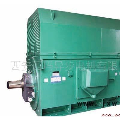 壓縮機(jī)用電機(jī)Y系列Y4507-12 200KW 6KV高壓三相異步電動機(jī)