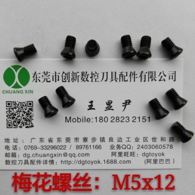 數(shù)控刀具配件  梅花螺絲M5x12   車(chē)刀壓板  銑刀壓板  紅旗扳手