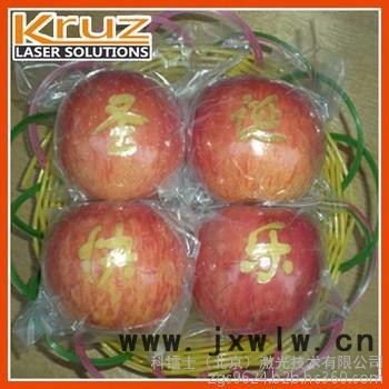 充電器激光鐳雕機 數(shù)據(jù)線紫光鐳雕機 紫外激光打標(biāo)機直銷