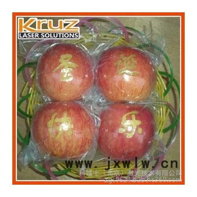 充電器激光鐳雕機 數(shù)據(jù)線紫光鐳雕機 紫外激光打標(biāo)機直銷
