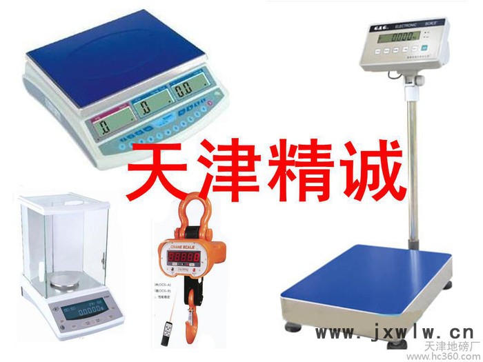 供應(yīng)衡器廠ACS電子秤