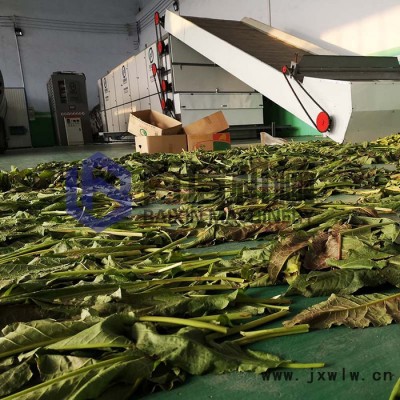 連翹烘干機 多層連續(xù)式中藥材烘干機 大型全自動連翹專用干燥設(shè)備