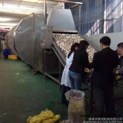 鼎鴻牌HG-4/3型筍絲烘干機 木耳干燥流水線 金針菇烘干線 包菜干燥設備 蕓豆去水干燥機
