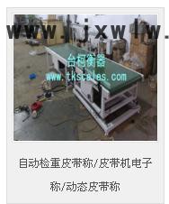 臺柯衡器 自動化電子秤  皮帶秤  自動檢重皮帶稱/皮帶機(jī)電子稱/動態(tài)皮帶稱