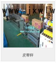 臺柯衡器  一體化直聯(lián)式減速流水線皮帶秤/自動化皮帶稱/scs皮帶機(jī)電子秤