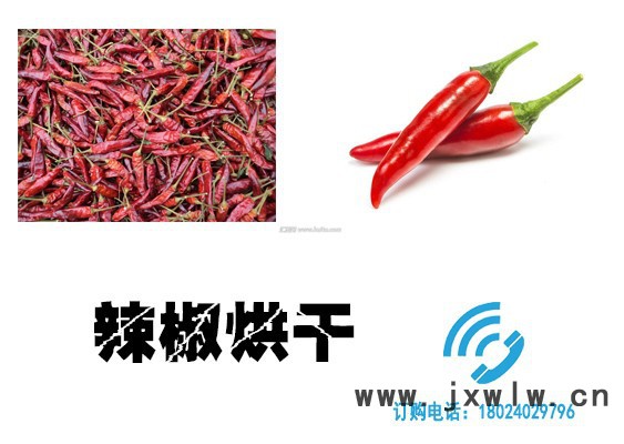 辣椒烘干機，辣椒烘干設(shè)備，辣椒干燥設(shè)備，辣椒熱泵烘干機