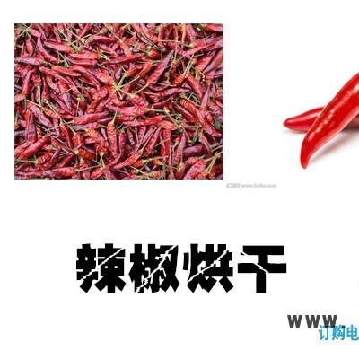 辣椒烘干機，辣椒烘干設(shè)備，辣椒干燥設(shè)備，辣椒熱泵烘干機