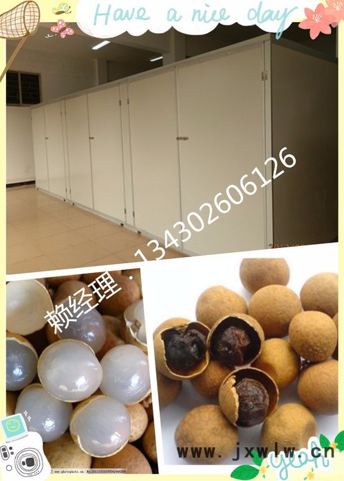 小型龍眼烘干機 全制動化除濕干燥設(shè)備 ** 批發(fā)優(yōu)惠價