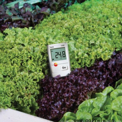 TESTO 174T迷你型溫度記錄儀套裝