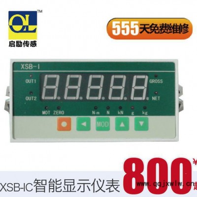 XSB-I 高速智能顯示儀表 高精度 快響應(yīng)速度 稱重測量實(shí)驗(yàn)儀表
