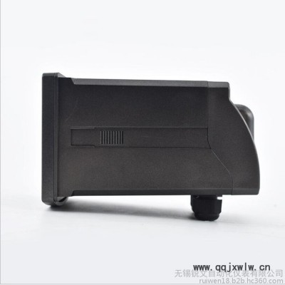 無錫銳文 在線溶氧儀RW-6800 工業(yè)智能型儀表 水產(chǎn)養(yǎng)殖含氧量檢測(cè)分析儀