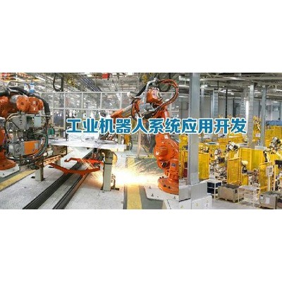 供應(yīng)工業(yè)機械手系統(tǒng)編程，機器人控制系統(tǒng)集成