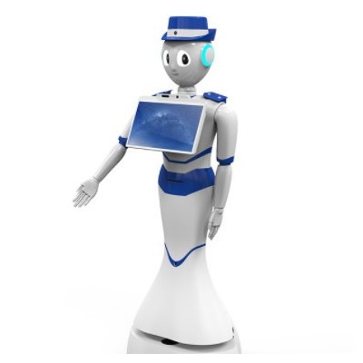 ai商用服務(wù)機(jī)器人wifi多功能咨詢接待機(jī)男女聲語音對(duì)話機(jī)器人批發(fā)